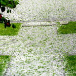 wind and hailstorm