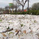 hail damage insurance claim