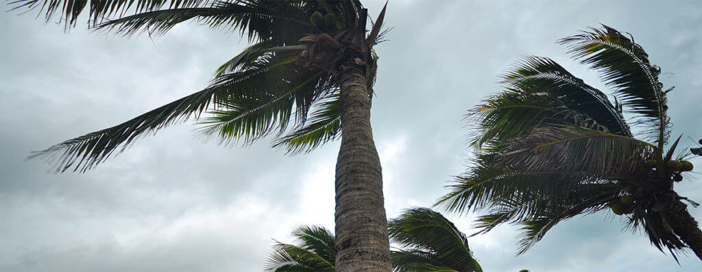 Hurricane Harvey Wind Claim