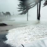Hurricane Harvey Insurance Lawsuit Claims