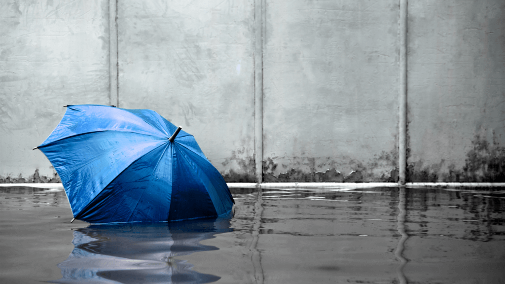 Hurricane Flood Insurance