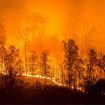 Wildfire Risk