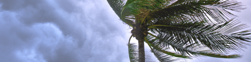 Tropical Storm vs Hurricane