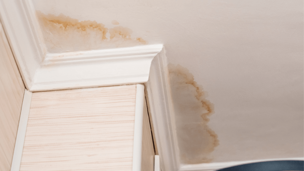 How to Spot Water Damage In Your Commercial Property